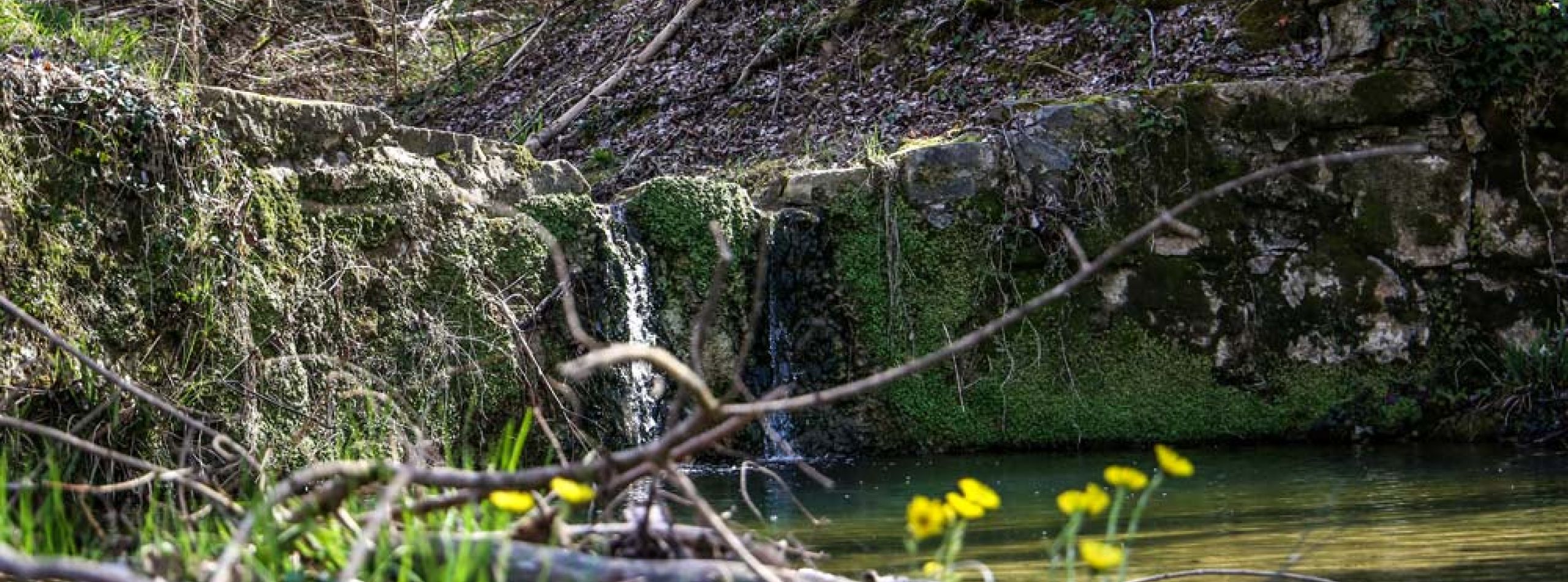 Le briglie sul torrente Agliena