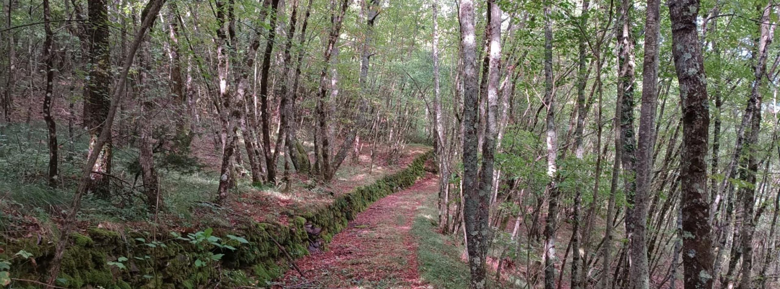 Riflessi di Serignana