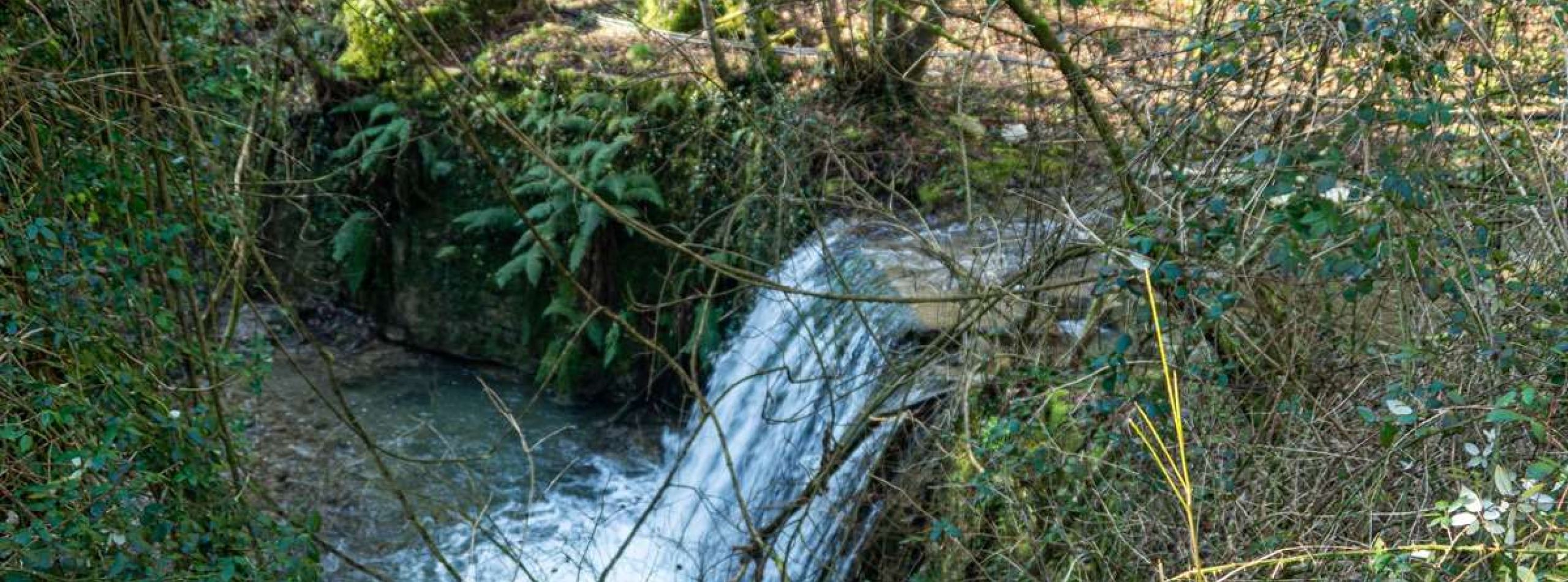 La Valle di Uscioli