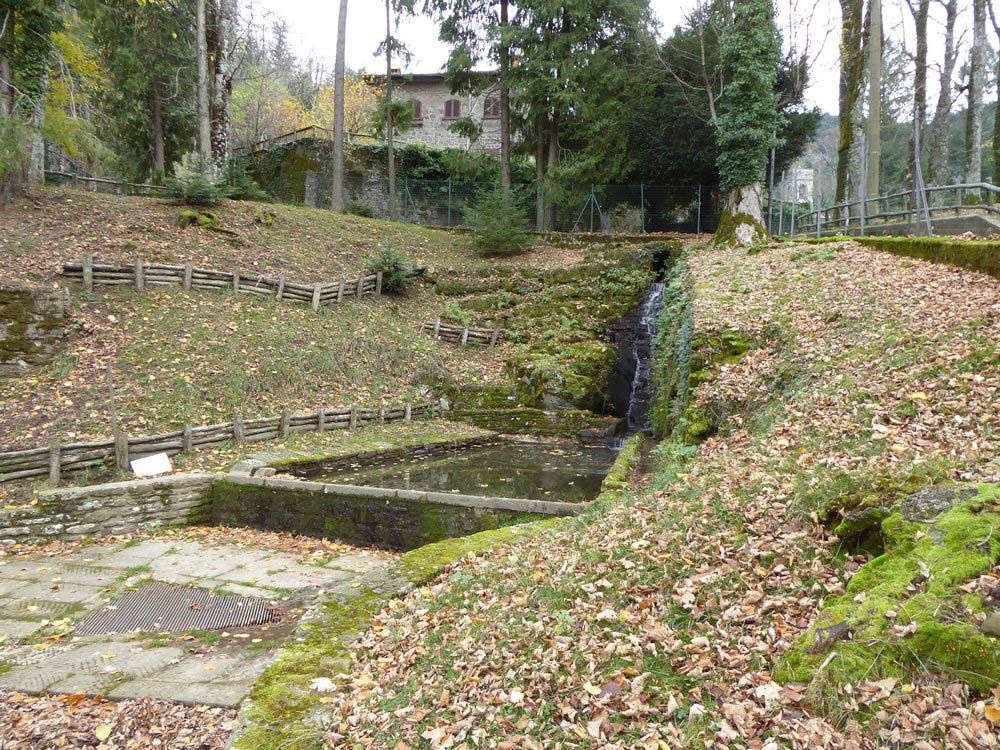 Sentiero dell'acqua a Vallombrosa