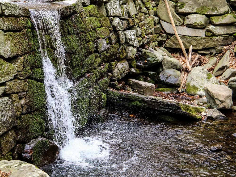 Sulle pendici del Pratomagno lungo il torrente Re