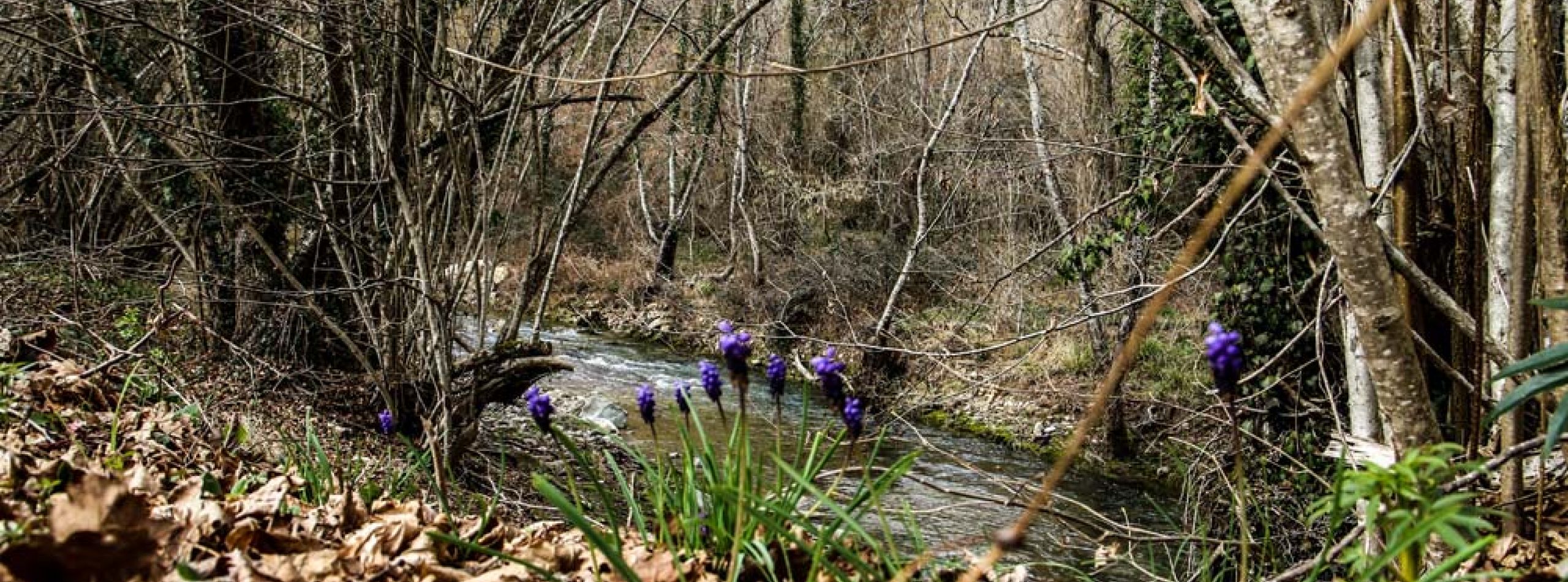 Percorso lungo la Pesa