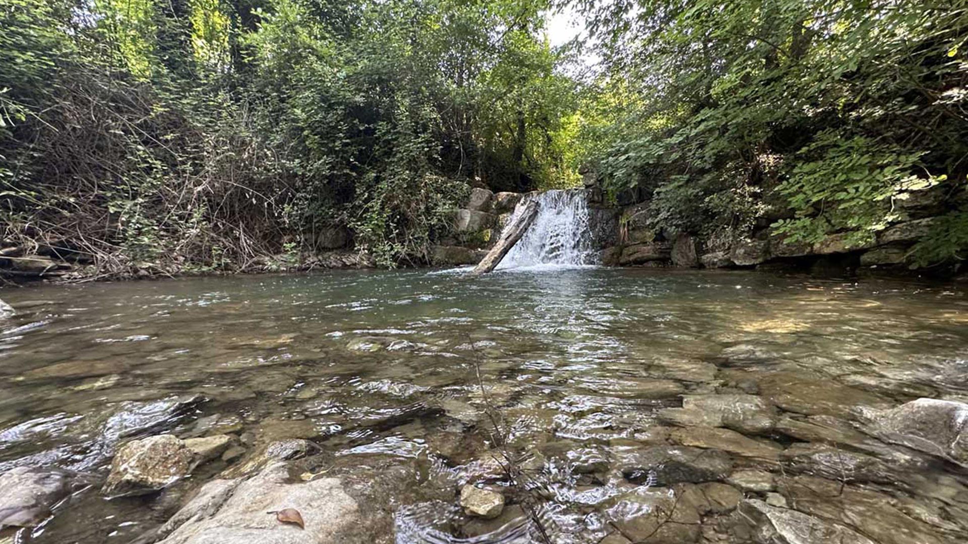 Nasce il “Cammino dell'acqua” lungo il torrente Bagnolo sabato l'inaugurazione con partenza da piazza Bini