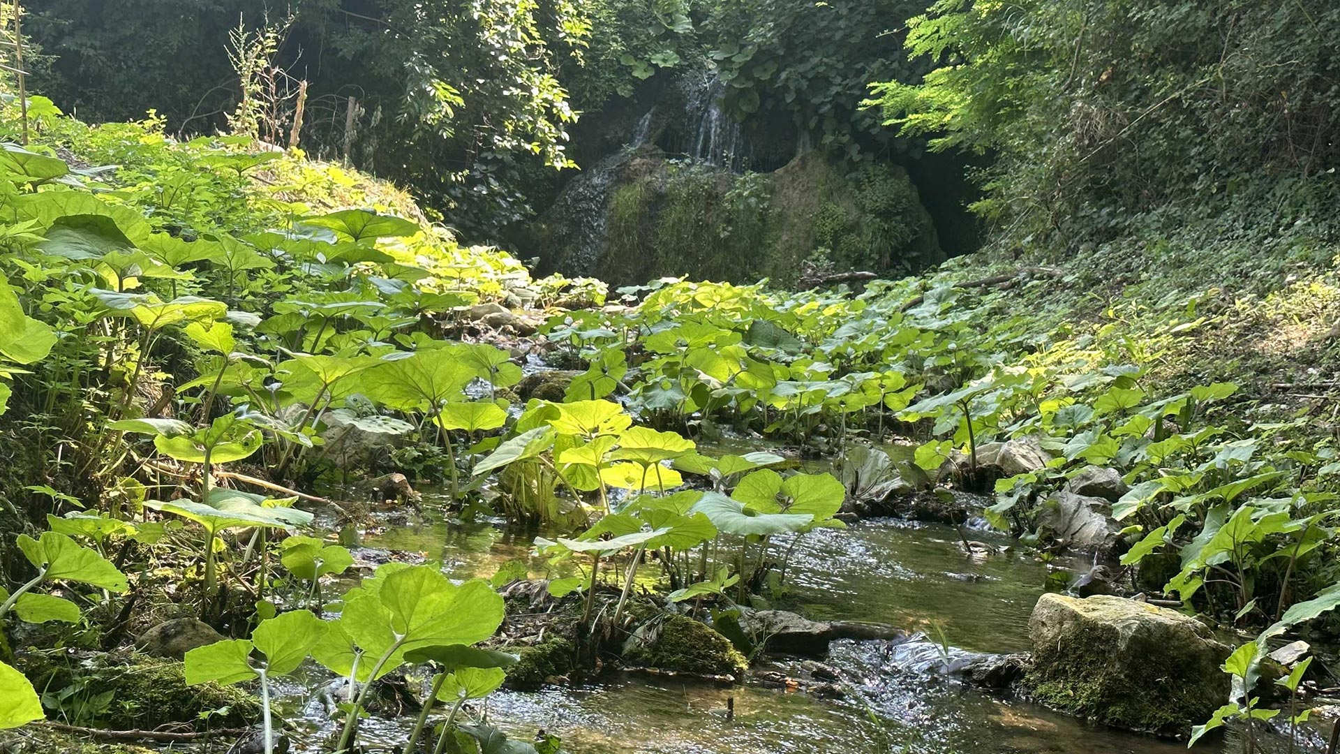 Inaugurata l'oasi sensoriale di Legri (Calenzano)