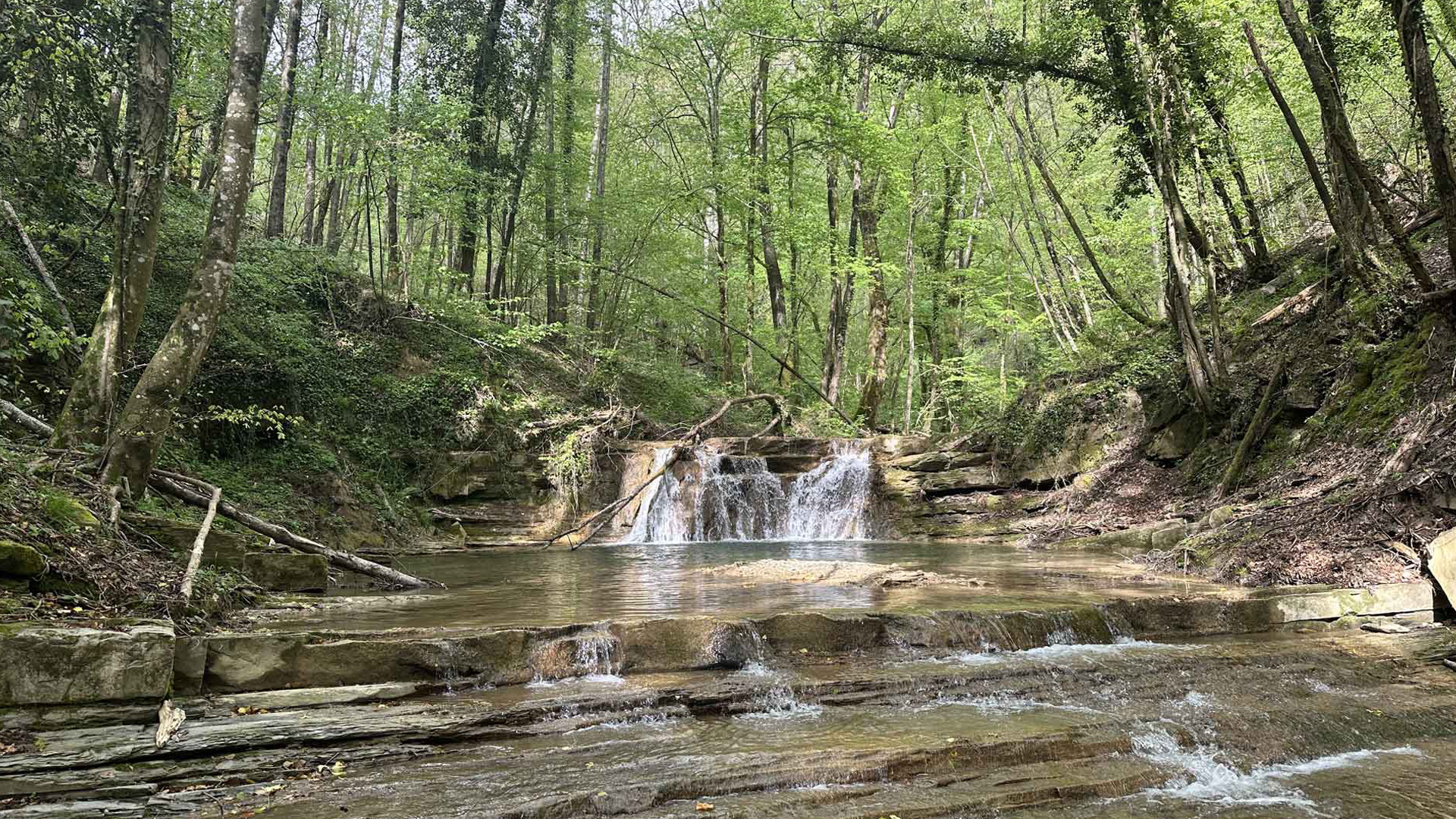 La risalita del Rio Farfereta: il nuovo cammino dell'acqua di Borgo San Lorenzo