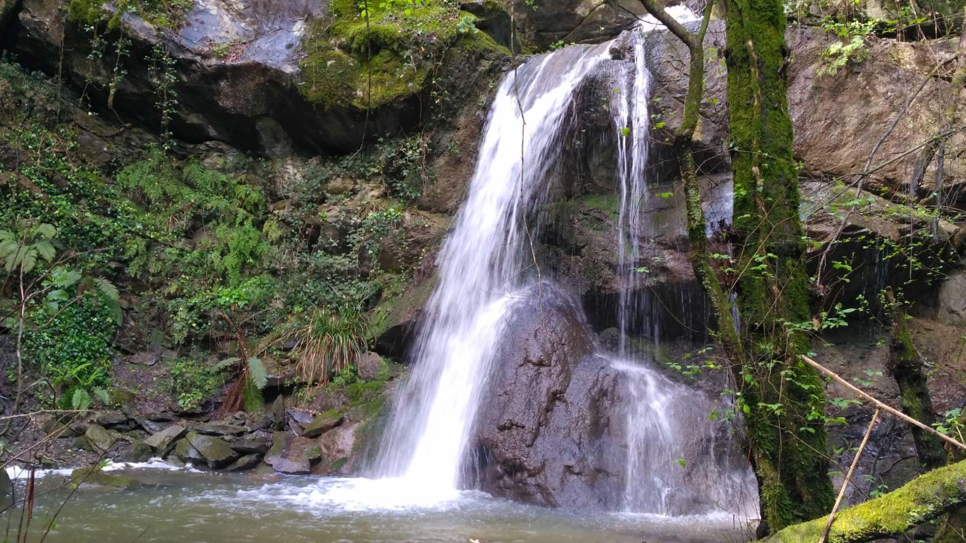 Le Vie dell'Acqua: Rio Carpineto. Un percorso da conoscere e vivere
