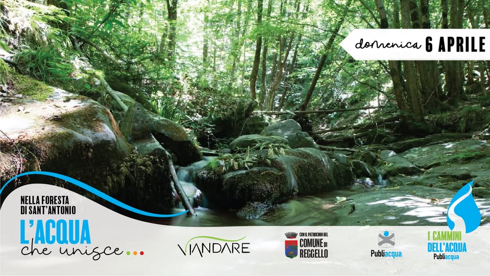 Inaugurazione I Cammini dell’acqua: L’acqua che unisce (Foresta di Sant’Antonio)