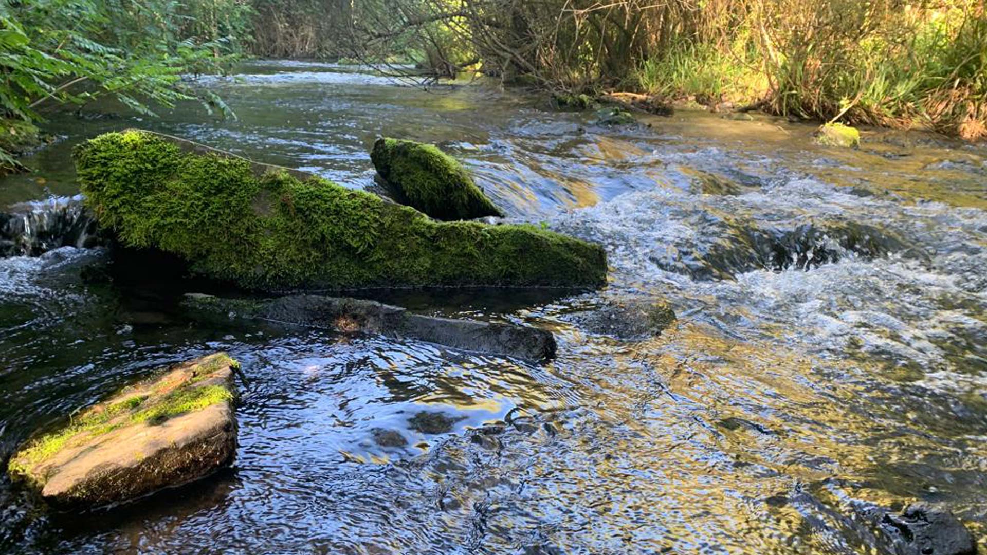 Al via la seconda edizione del bando I CAMMINI DELL’ACQUA