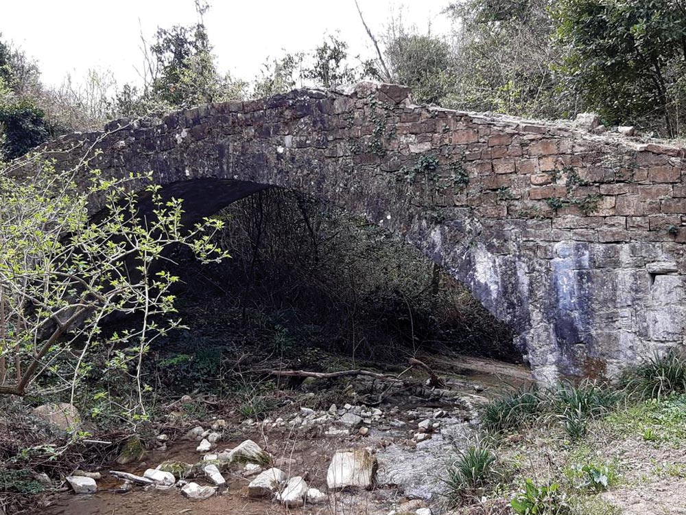Anello nella valle del Terzolle. Sentiero storico naturalistico “Luca Faggi”