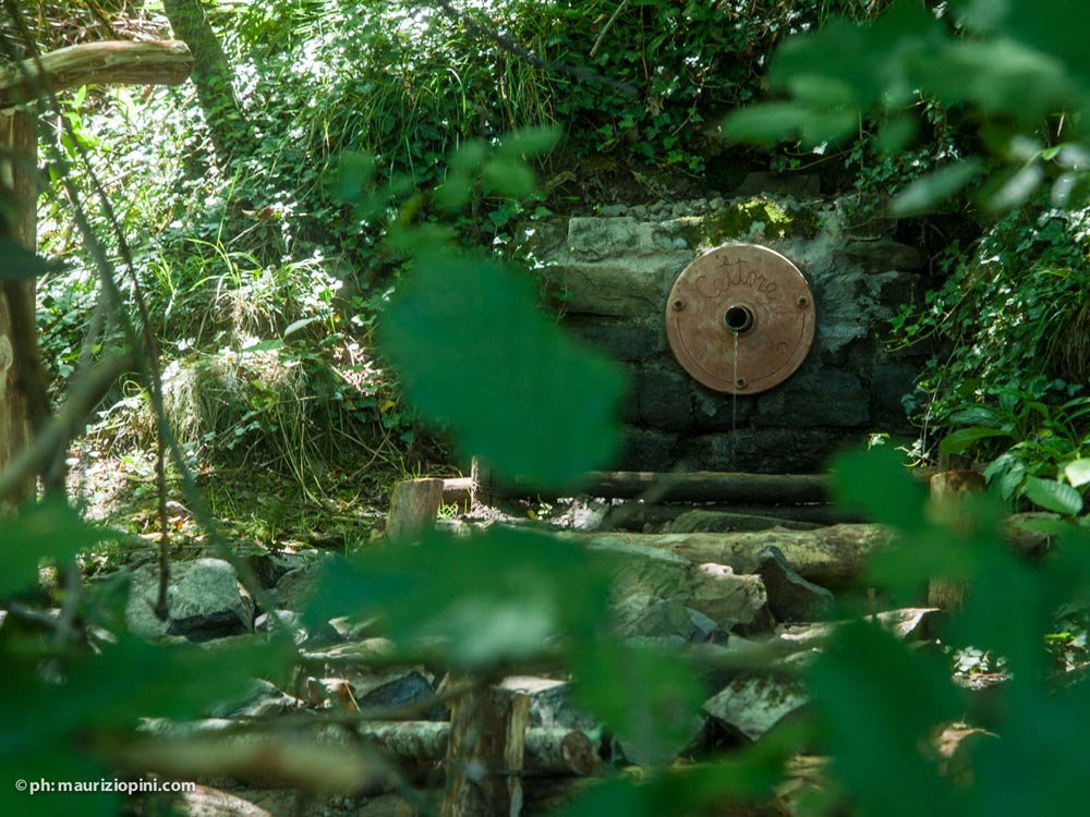 Parco Letterario Policarpo Petrocchi