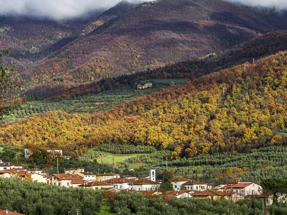 Fognano Martino