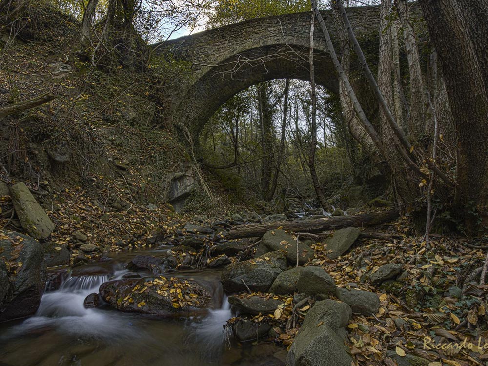 Ponte Logli