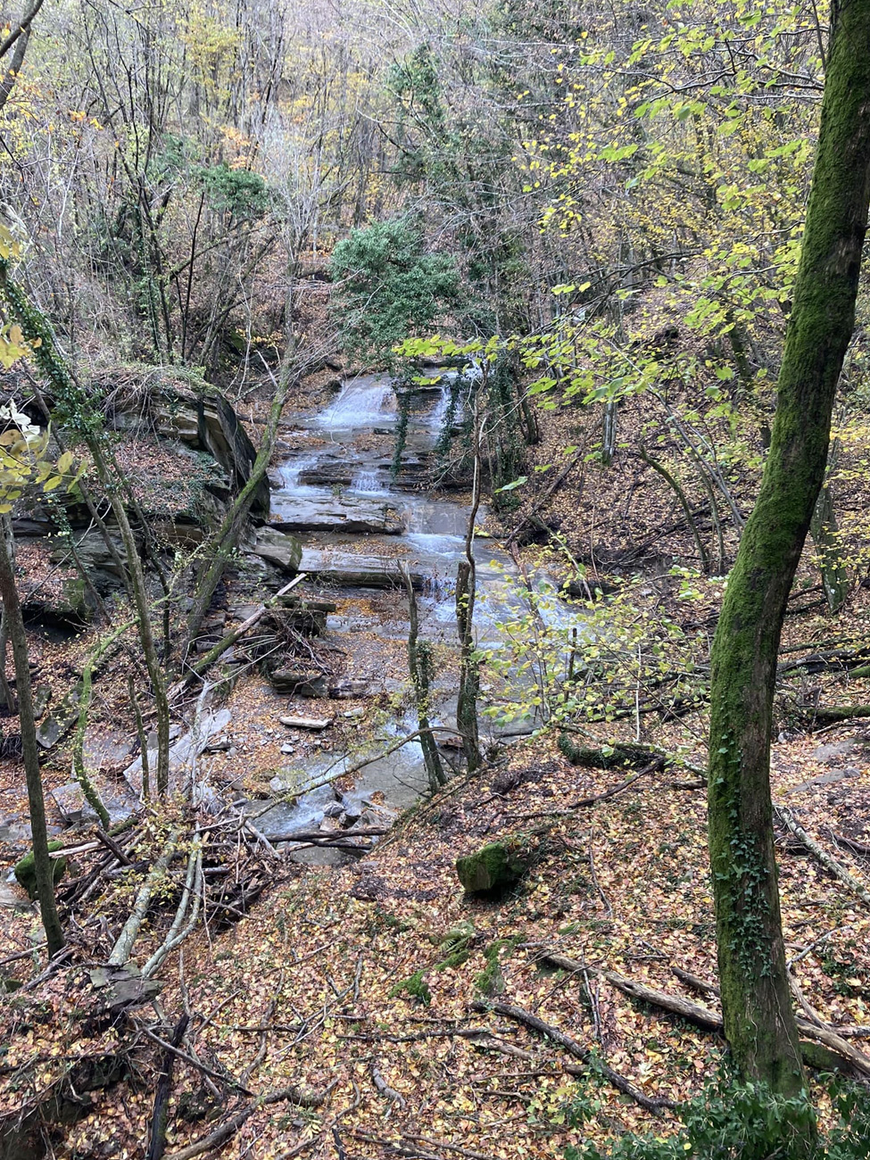 La risalita del Rio Farfareta