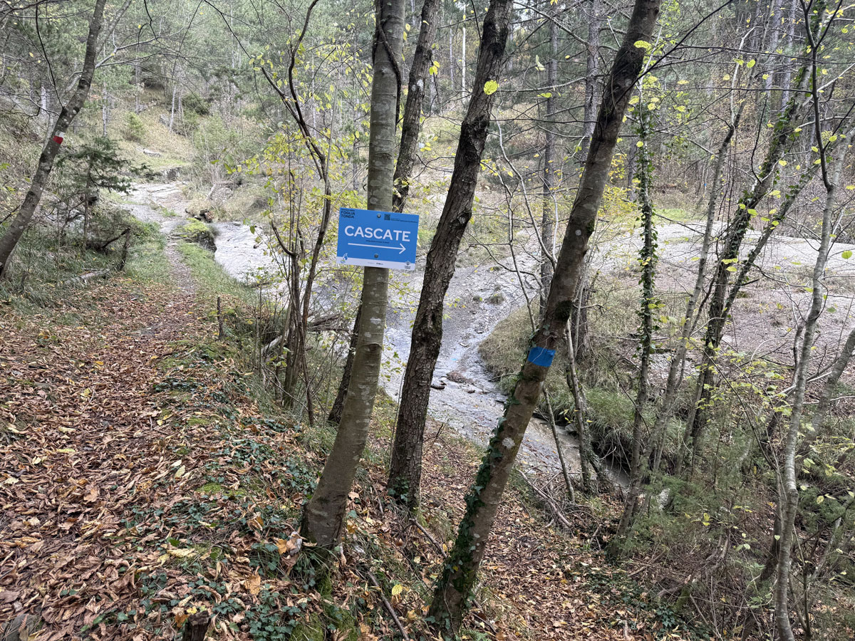 Il Sentiero della Foglia Tonda