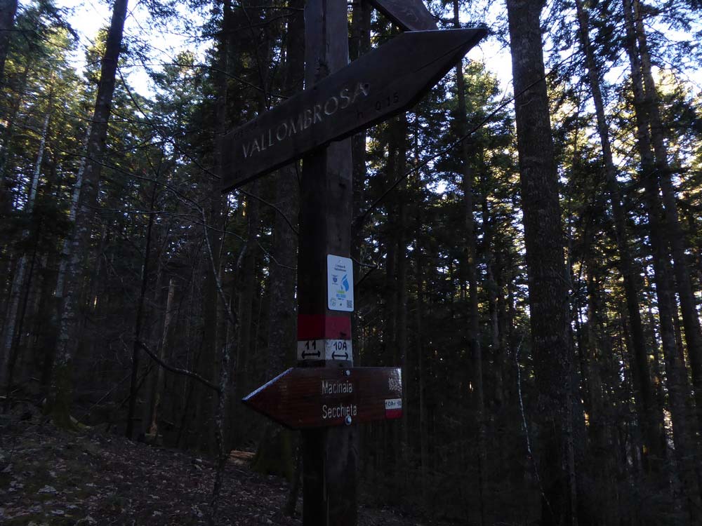 Cartelli Vallombrosa
