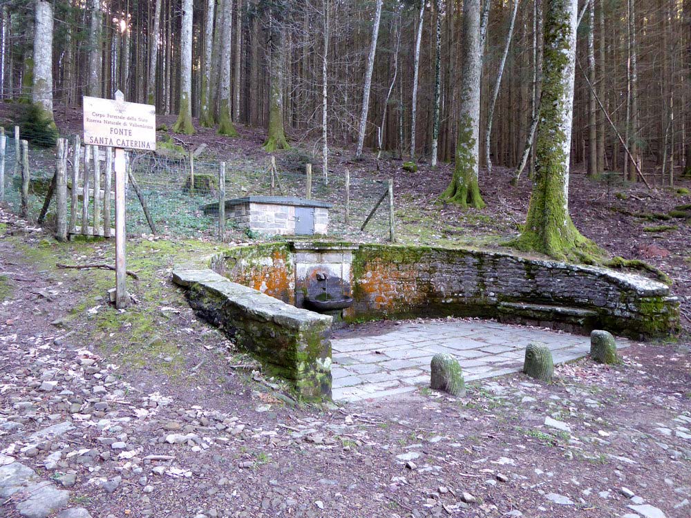 Fonte Santa Caterina