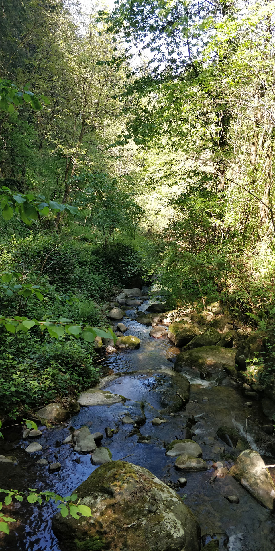 La Valle del Vicano