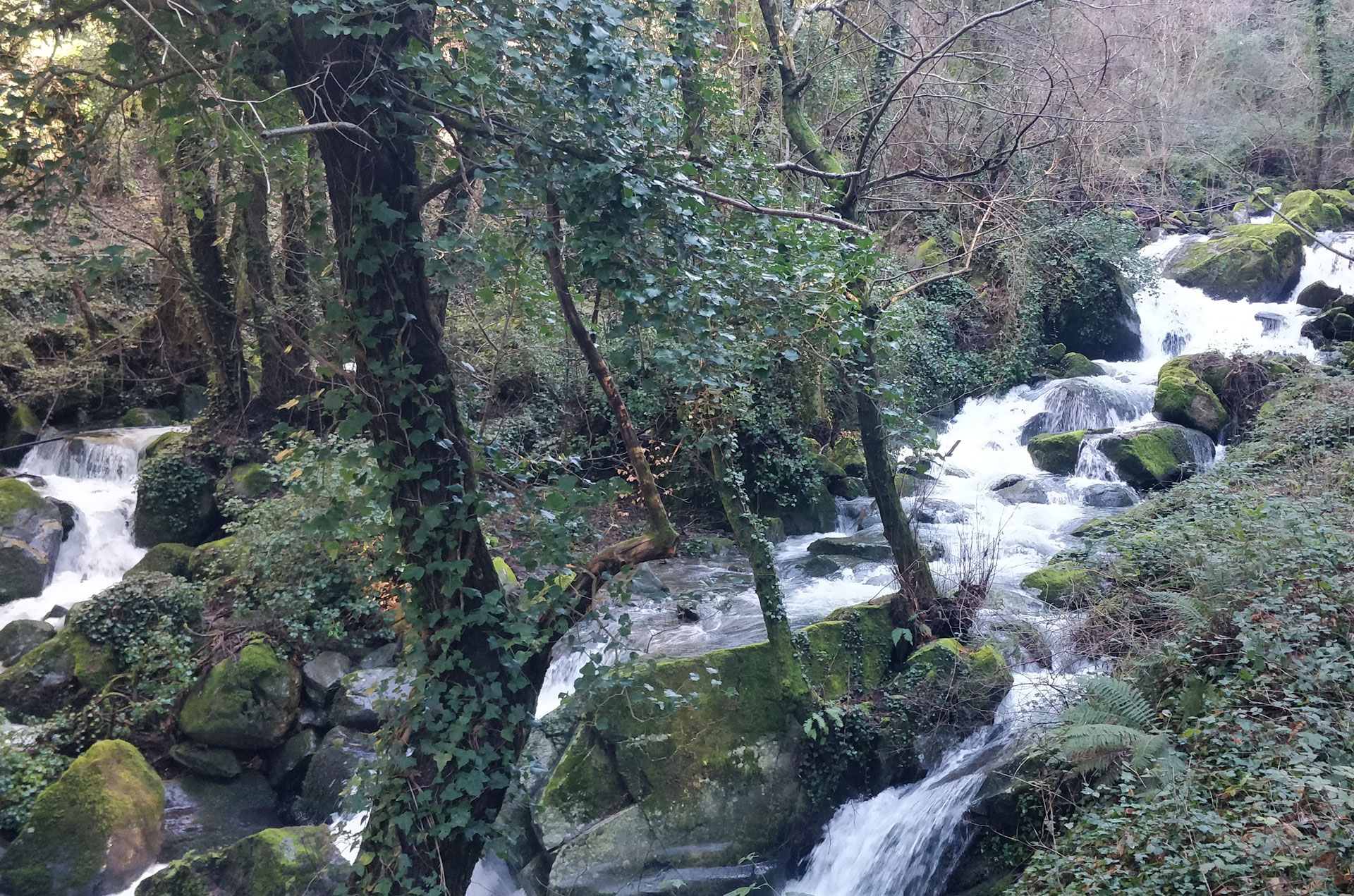 La Valle del Vicano