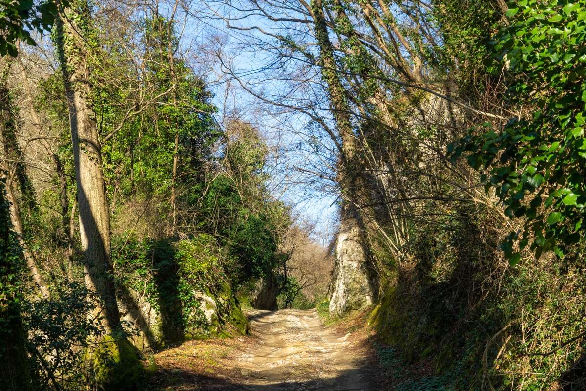La Valle di Uscioli