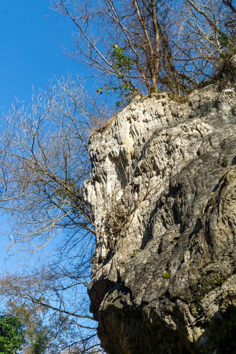 La Valle di Uscioli