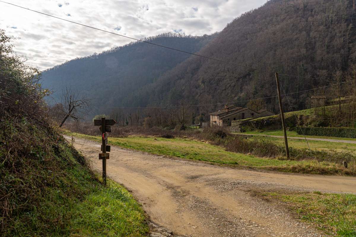 La Valle di Uscioli