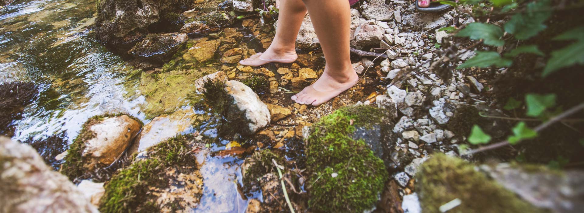 I cammini dell'acqua | Publiacqua