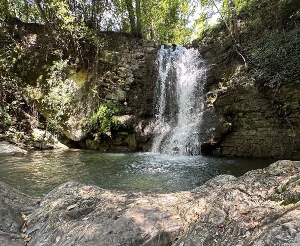 images/percorsi/area-pratese/torrente-bagnolo/gallery/cascata-bagnolo-02.jpg#joomlaImage://local-images/percorsi/area-pratese/torrente-bagnolo/gallery/cascata-bagnolo-02.jpg?width=1000&height=750