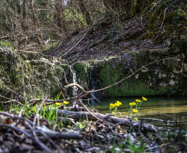 images/percorsi/chianti/le-briglie-sull-agliena/gallery/briglie-agliena-26.jpg#joomlaImage://local-images/percorsi/chianti/le-briglie-sull-agliena/gallery/briglie-agliena-26.jpg?width=1000&height=750