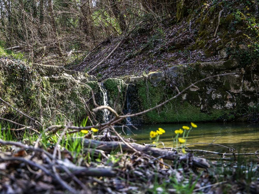 Le briglie sul torrente Agliena