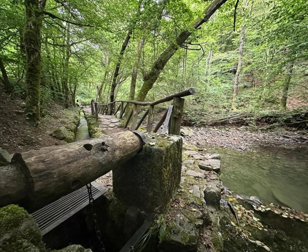 images/percorsi/area-pistoiese/valle-del-ghiaccio/gallery/percorso-valle-ghiacchio-01.jpg#joomlaImage://local-images/percorsi/area-pistoiese/valle-del-ghiaccio/gallery/percorso-valle-ghiacchio-01.jpg?width=1000&height=750