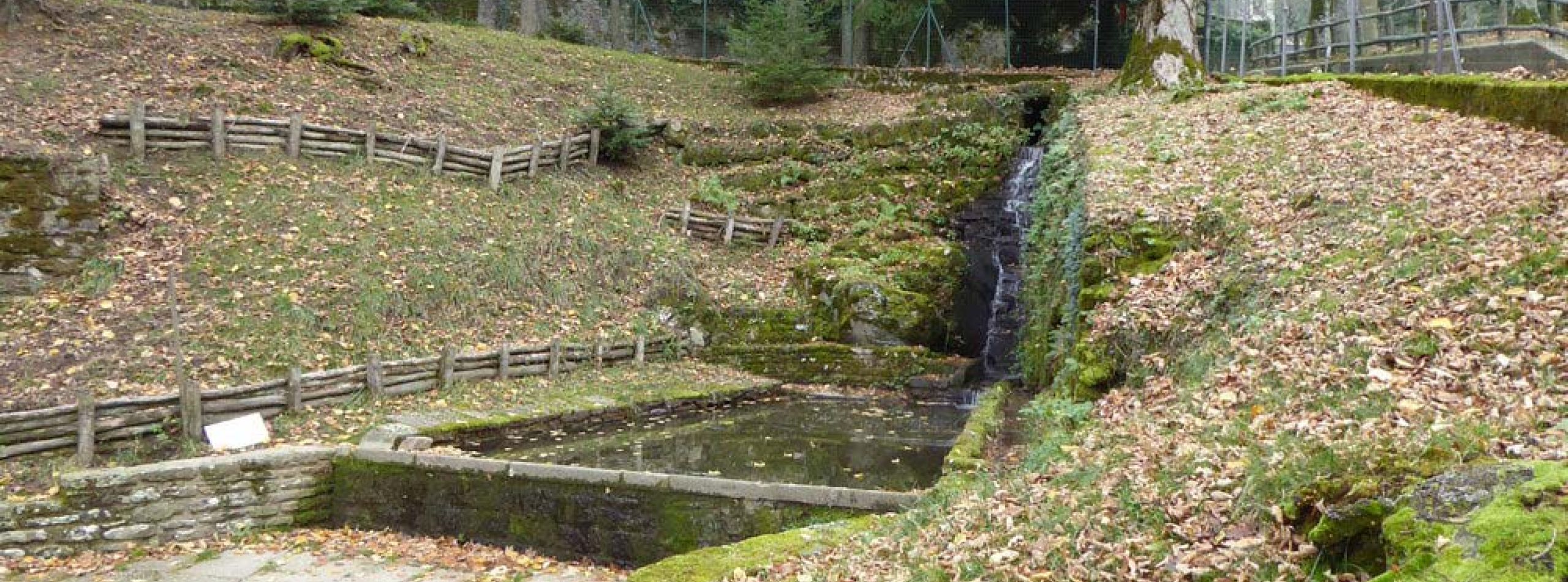 Sentiero dell'acqua a Vallombrosa
