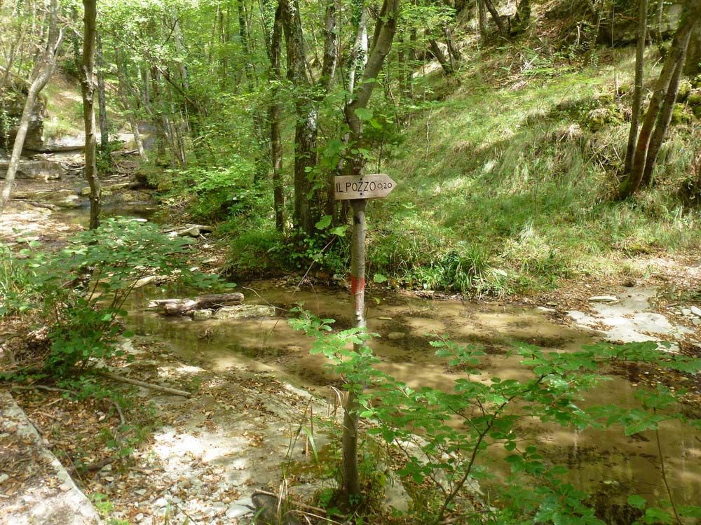 La valle del Muccione, da Gattaia alla Giogana
