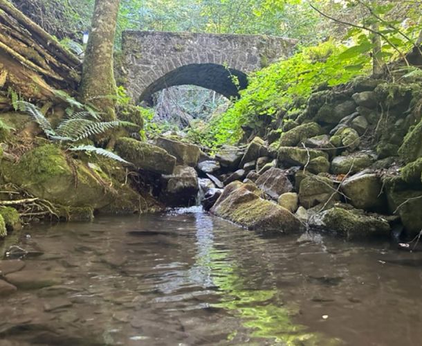 images/percorsi/area-pistoiese/sentiero-169/gallery/setiero-169-08.jpg#joomlaImage://local-images/percorsi/area-pistoiese/sentiero-169/gallery/setiero-169-08.jpg?width=1000&height=750