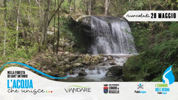 Mercoledì nella Foresta di Sant’Antonio