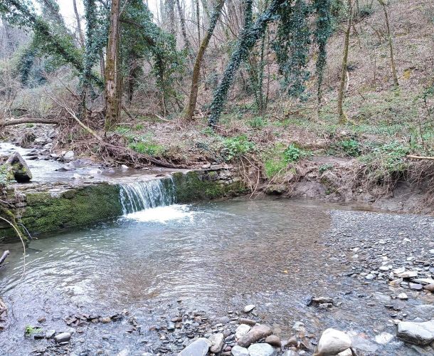 images/percorsi/area-pratese/torrente-furba/gallery/immag-princ.jpg#joomlaImage://local-images/percorsi/area-pratese/torrente-furba/gallery/immag-princ.jpg?width=2400&height=1746