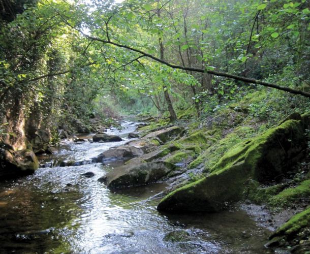 images/percorsi/area-metropolitana-firenze/anello-valle-terzolle/gallery/anello-terzolle-06.jpg#joomlaImage://local-images/percorsi/area-metropolitana-firenze/anello-valle-terzolle/gallery/anello-terzolle-06.jpg?width=1000&height=750