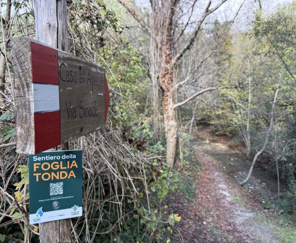 images/percorsi/mugello/sentiero-foglia-tonda/gallery/serniero-foglia-tonda.jpg#joomlaImage://local-images/percorsi/mugello/sentiero-foglia-tonda/gallery/serniero-foglia-tonda.jpg?width=1920&height=1440