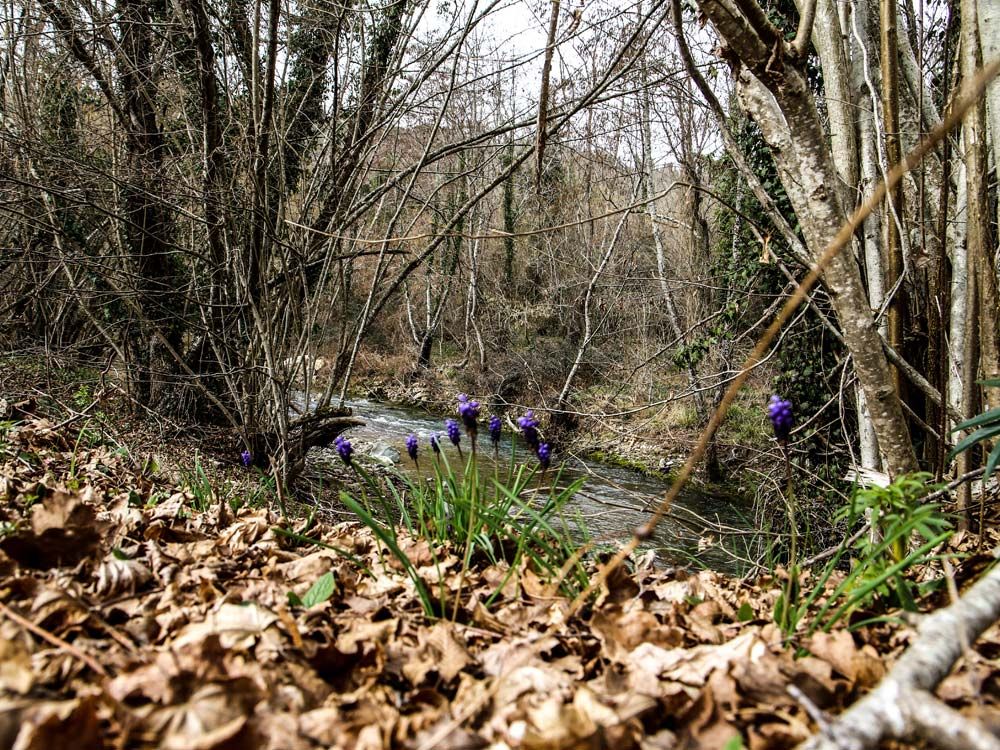 Percorso lungo la Pesa