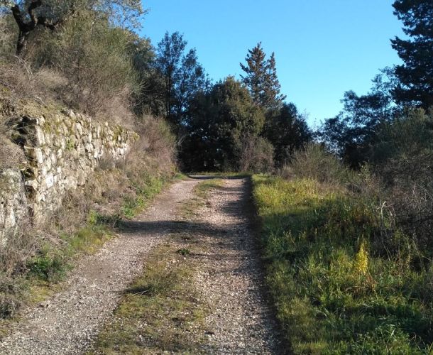 images/percorsi/area-pratese/acquedottto-storico-carmignano/gallery/percorso-acquedottto-carmignano-01.jpg#joomlaImage://local-images/percorsi/area-pratese/acquedottto-storico-carmignano/gallery/percorso-acquedottto-carmignano-01.jpg?width=1000&height=750