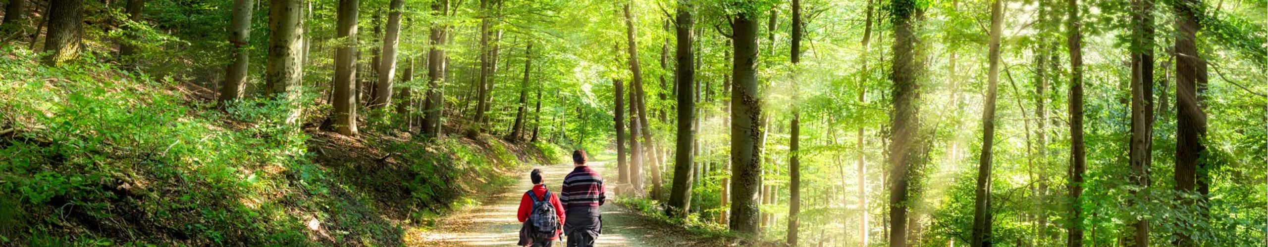 I cammini dell'acqua | Publiacqua