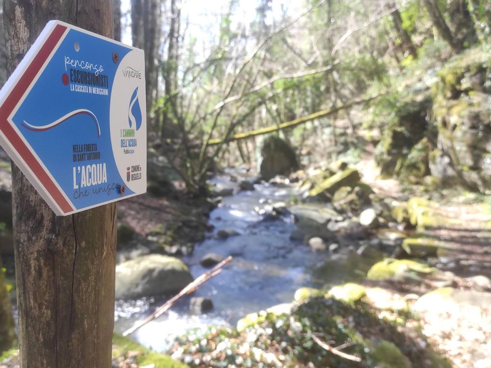 Nella Foresta di Sant'Antonio