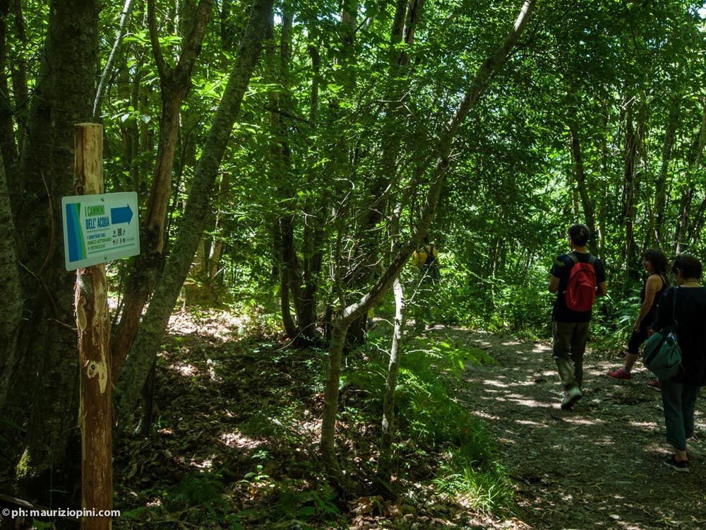 Parco Letterario Policarpo Petrocchi