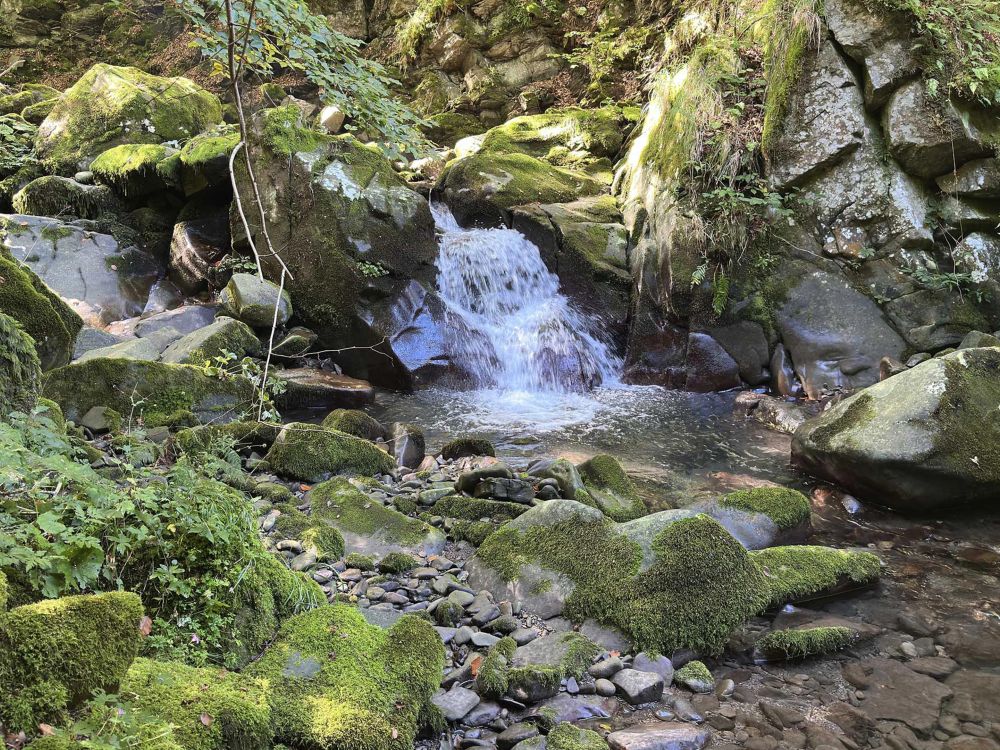 Cammino delle Sorgenti