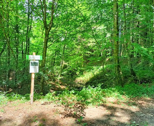 images/percorsi/area-pratese/strada-san-giuseppe-fonte-romito/gallery/fonte-romito-02.jpg#joomlaImage://local-images/percorsi/area-pratese/strada-san-giuseppe-fonte-romito/gallery/fonte-romito-02.jpg?width=1000&height=750