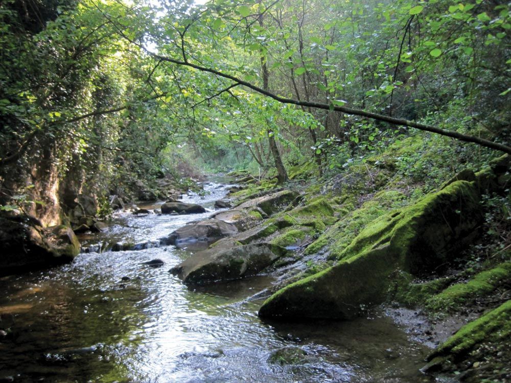 Anello nella valle del Terzolle. Sentiero storico naturalistico “Luca Faggi”