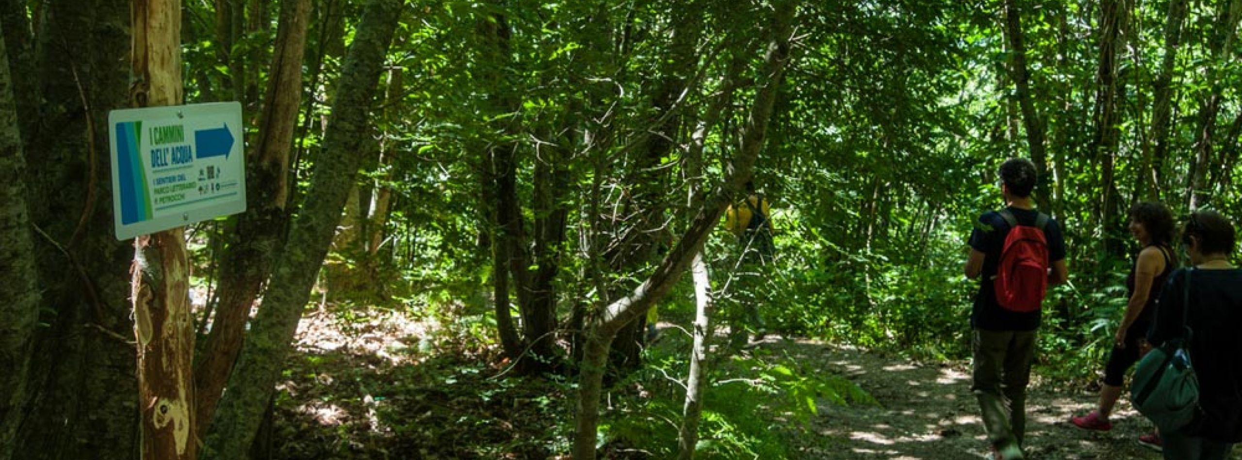 Parco Letterario Policarpo Petrocchi