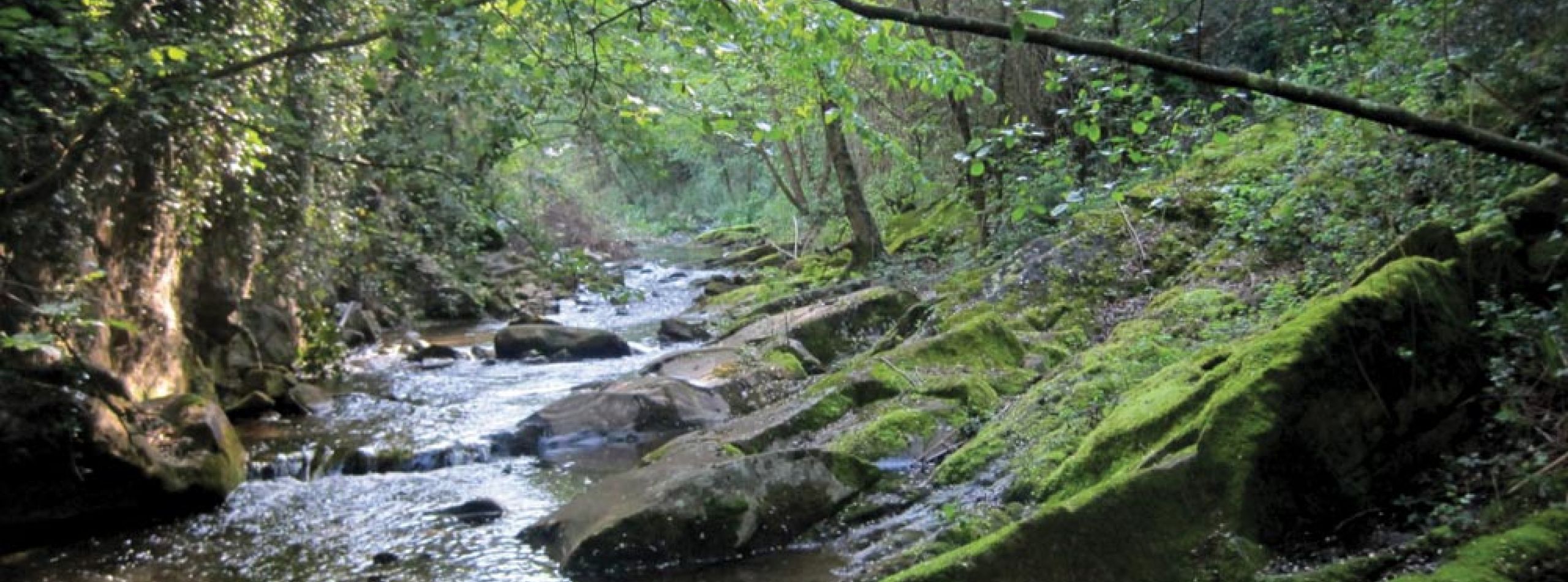Anello nella valle del Terzolle. Sentiero storico naturalistico “Luca Faggi”