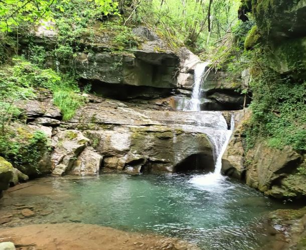 images/percorsi/area-pratese/cigno-bianco-cascate-carigiola/gallery/cigno-carigiola-04.jpg#joomlaImage://local-images/percorsi/area-pratese/cigno-bianco-cascate-carigiola/gallery/cigno-carigiola-04.jpg?width=1000&height=750
