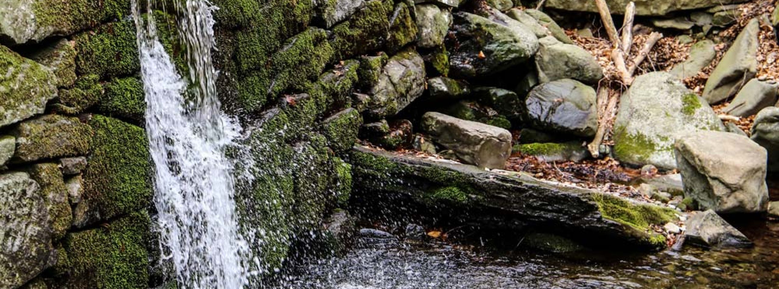 Sulle pendici del Pratomagno lungo il torrente Re