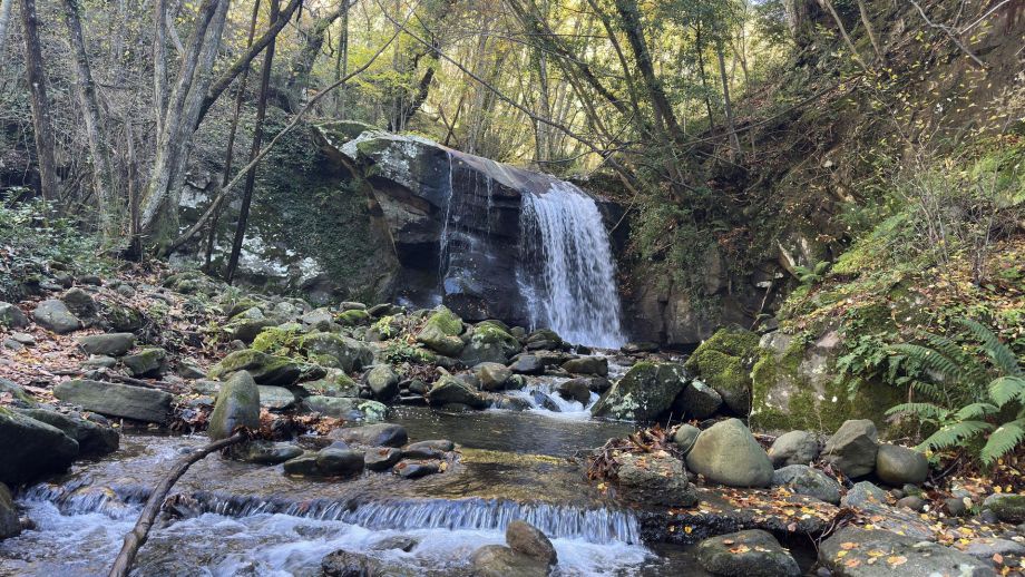 Al via il Bando Ambiente 2025